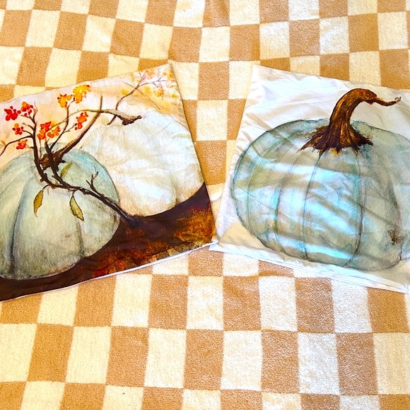 Decorative Pumpkin Pillow Covers - Picture 1 of 1